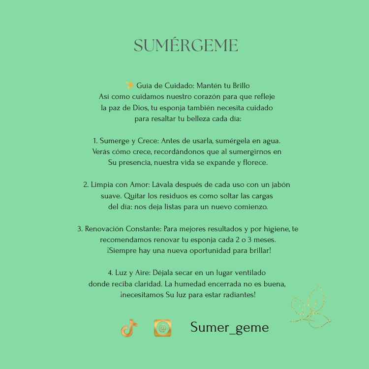 🌿 Nueva Vida 🌿