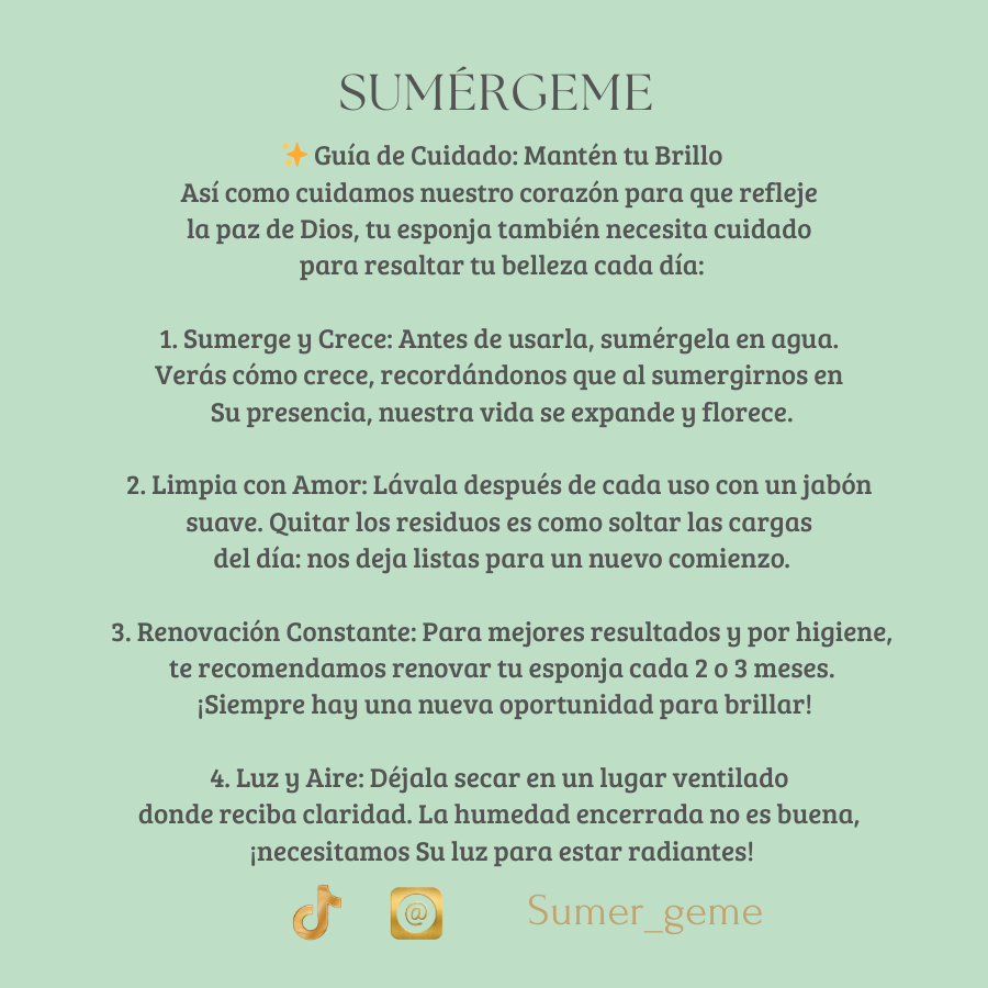 🌿 Nueva Vida 🌿